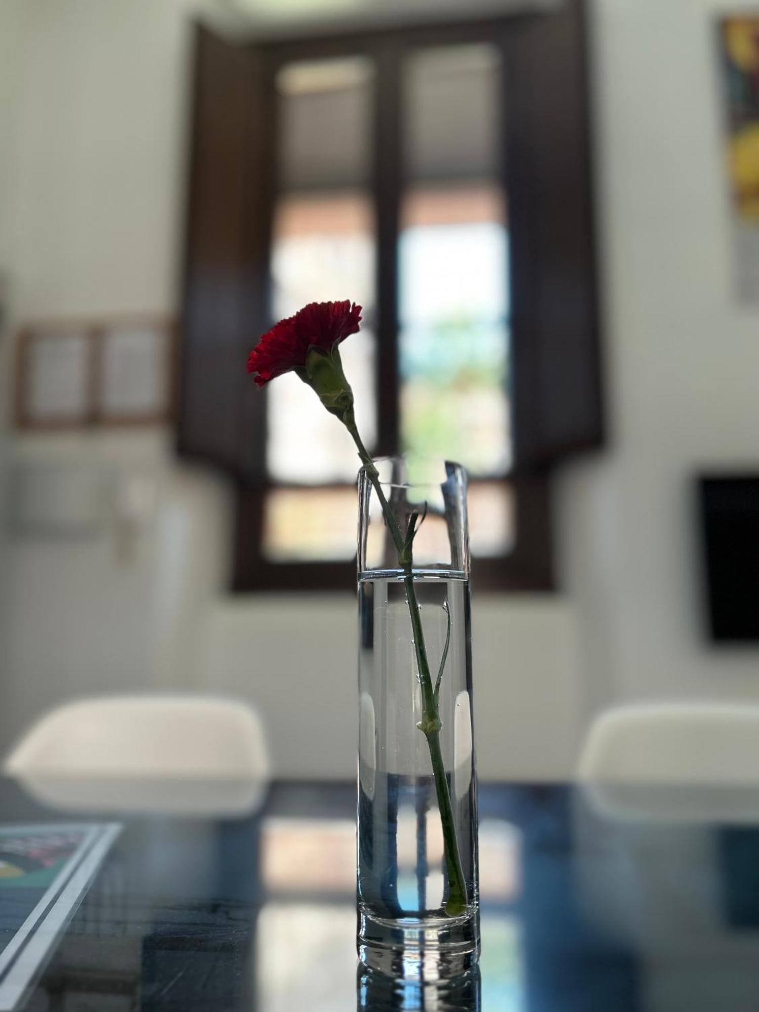Romanilla Loft Гранада Экстерьер фото